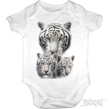 White Bengal Tigers - Bengáli tigrisek baba body
